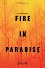 Nonton Film Fire in Paradise (2019) Nonton Film Fire in Paradise (2019)