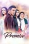 Promise (2017) Promise (2017)